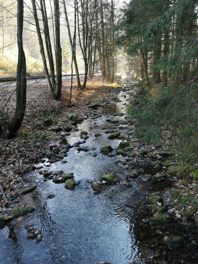 Ferienwohnung "Am Kreuzfelsen" بيستفيغ المظهر الخارجي الصورة